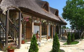 Casa cu flori Murighiol