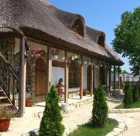 Casa cu flori Murighiol Exterior foto
