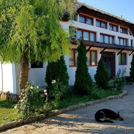 Casa cu flori Murighiol Exterior foto