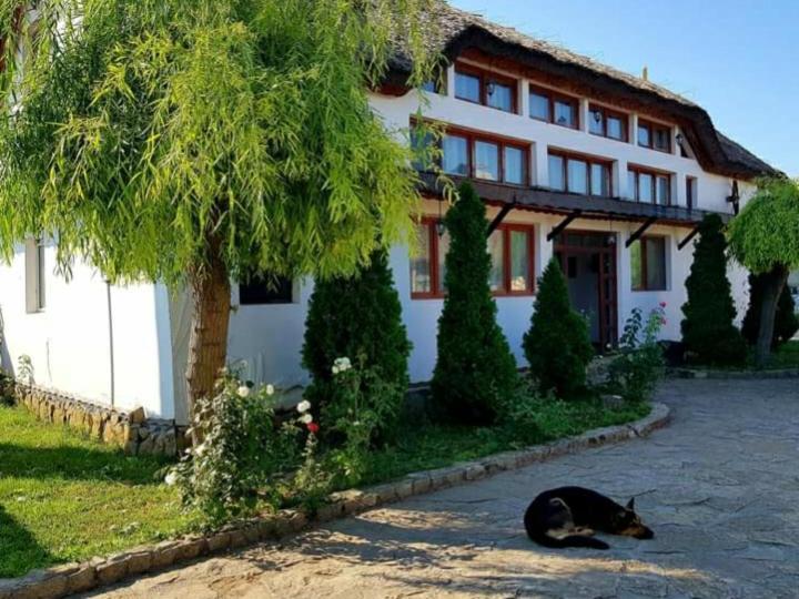 Casa cu flori Murighiol Exterior foto