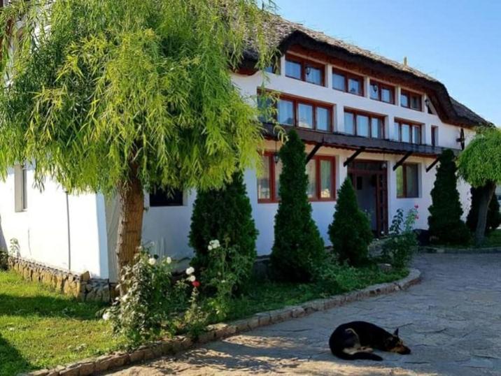 Casa cu flori Murighiol Exterior foto